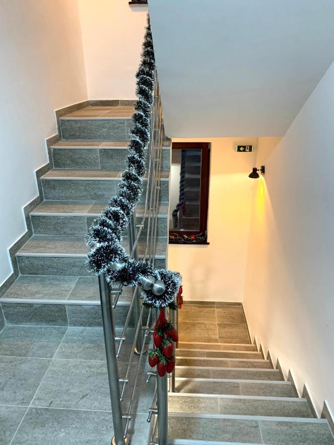 Vila Gorica Τζαχορίνα Εξωτερικό φωτογραφία